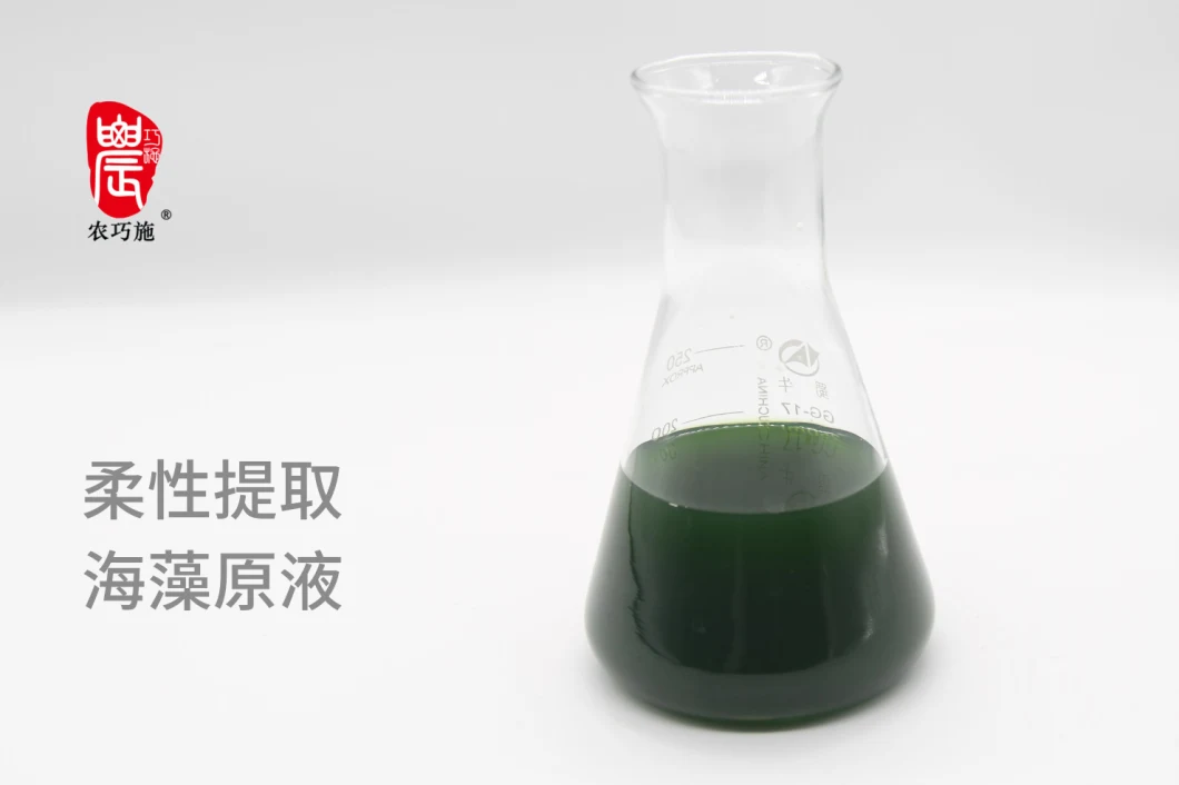 Seaweed Functional Fertilizer Provide High Quality Nutritions for Crops Growing