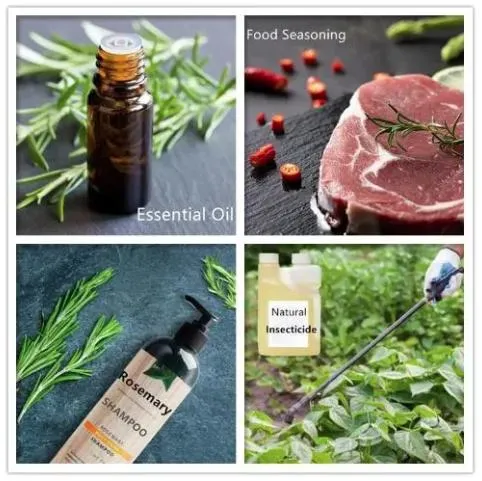 E. K Herb Factory Food Grade Rosemary Extract Carnosic Acid Oil 5%~20% High Effect Antioxidants for Meat Preservatives Carnosic Acid