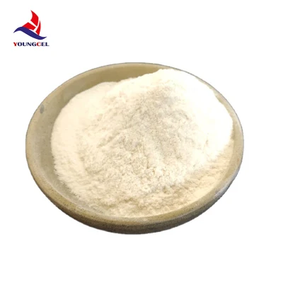 Chemical Price Construction Chemicals Vae Rdp for Wall Putty - Buy High Increase Water Retention Rdp