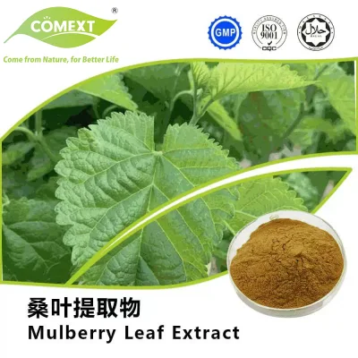 Comext Free Sample 15% 1-Deoxynojirimycin Mulberry Leaf Extract in Stock