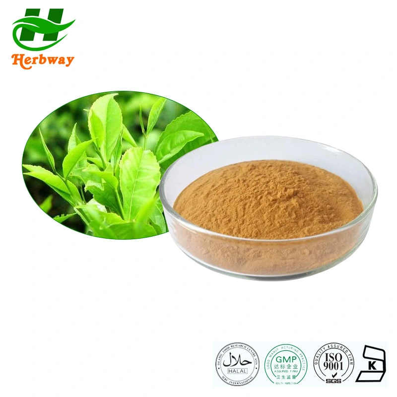 Herbway Factory Best Price Kosher Halal Certified Plant Extract Herbal Extract 4: 1 10: 1 6% Macamides Tongkat Ali Maca Powder Maca Extract for Male Health Care
