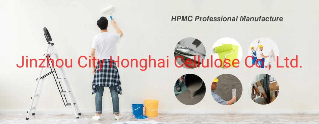 Chinese Factory Chemical Hemc for Construction Building Material