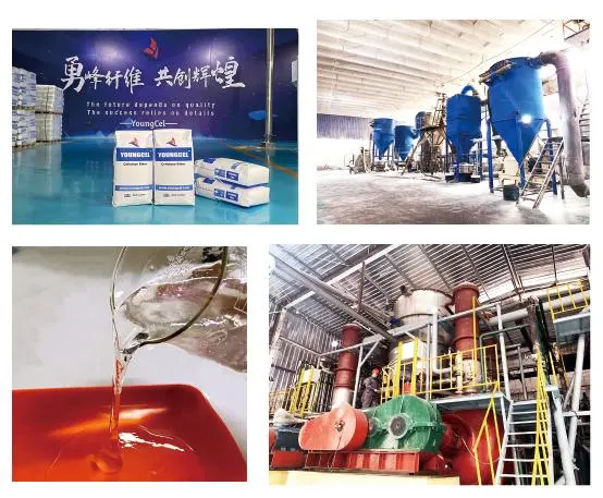 High Quality Finest Price Buy Chemical Price Construction Chemicals Vae Rdp