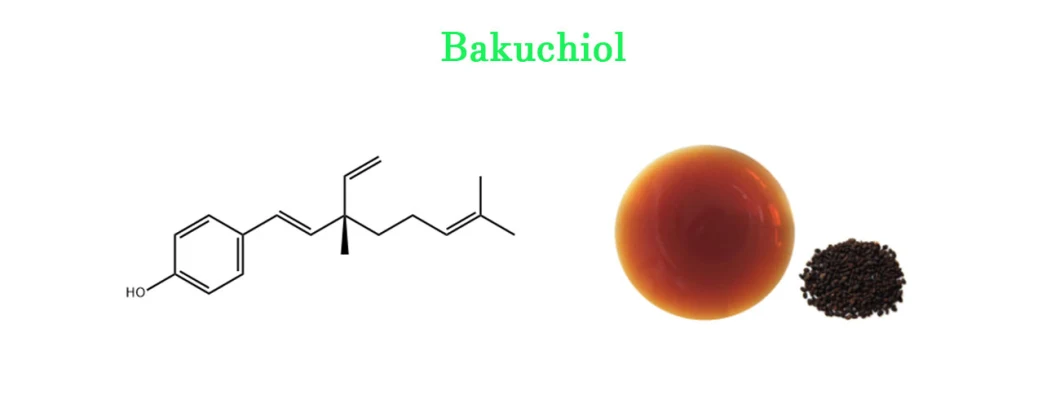 Best Price Cosmetic Ingredients Bakuchiol CAS10309-37-2