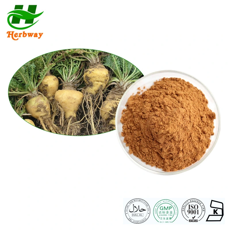 Herbway Factory Best Price Kosher Halal Certified Plant Extract Herbal Extract 4: 1 10: 1 6% Macamides Tongkat Ali Maca Powder Maca Extract for Male Health Care