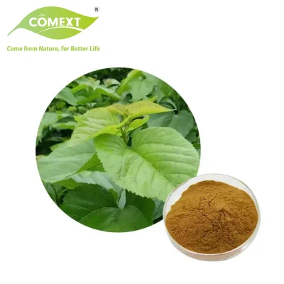 Comext Best Price Factory Supply Mulberry Leaves Extract 5: 1 Powder