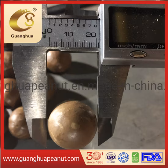 Nutrition and Health Best Quality Macadamia